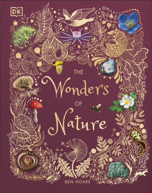 The Wonders of Nature by Ben Hoare 9780241386217