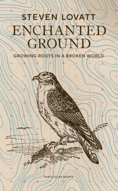 Enchanted Ground : Growing Roots in a Broken World by Steven Lovatt 9780241561386