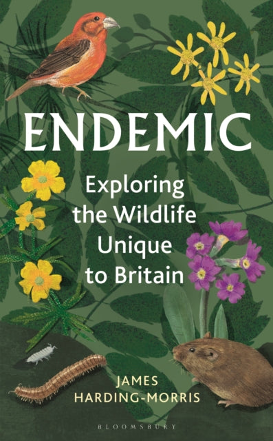 Endemic : Exploring the wildlife unique to Britain by James Harding-Morris 9781399405676