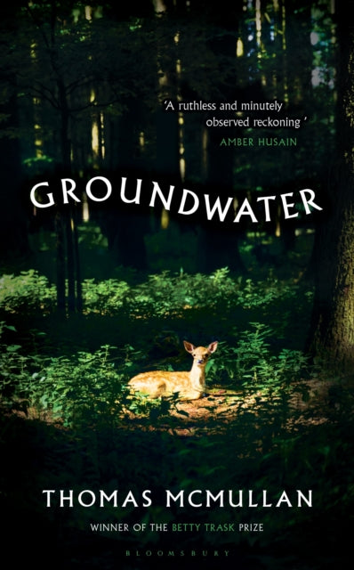 Groundwater : ‘Complex, chilling, masterful' Financial Times by Thomas McMullan 9781526678027