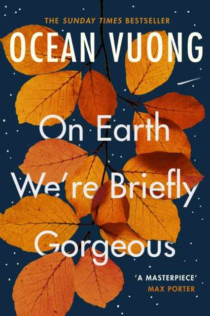 On Earth We're Briefly Gorgeous by Ocean Vuong 9781529110685