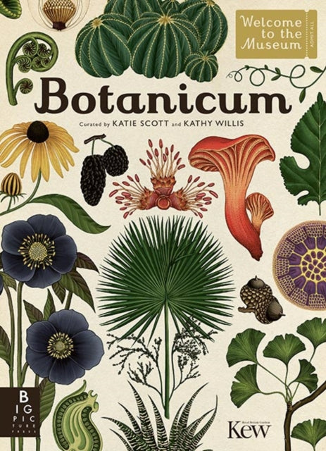 Botanicum by Kathy Willis 9781783703944