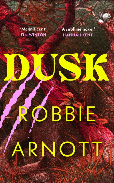 Dusk by Robbie Arnott 9781784745981