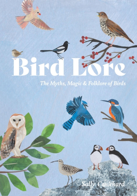 Bird Lore : The Myths, Folklore and Meaning of Birds by Sally Coulthard 9781837833061