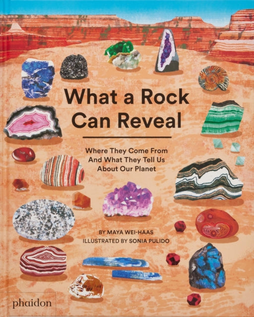 What a Rock Can Reveal : Where They Come From And What They Tell Us About Our Planet by Maya Wei-Haas 9781838667894
