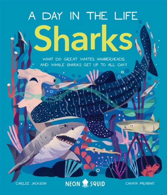 Sharks (A Day in the Life) : What Do Great Whites, Hammerheads, and Whale Sharks Get Up To All Day? by Carlee Jackson 9781838992064
