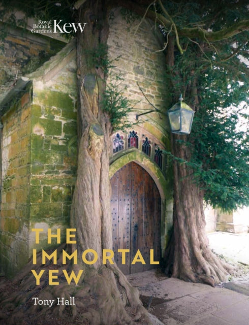 Immortal Yew, The by Tony Hall 9781842466582