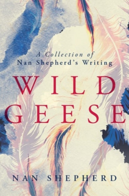 Wild Geese : A Collection of Nan Shepherd's Writings by Nan Shepherd 9781912916108