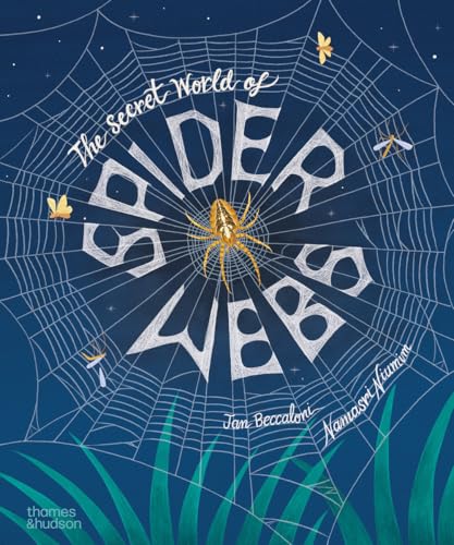 The Secret World of Spider Webs - book cover