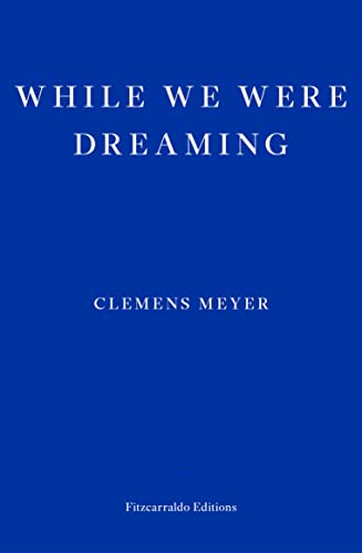 While We Were Dreaming - book cover