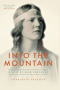 Into the Mountain - book cover