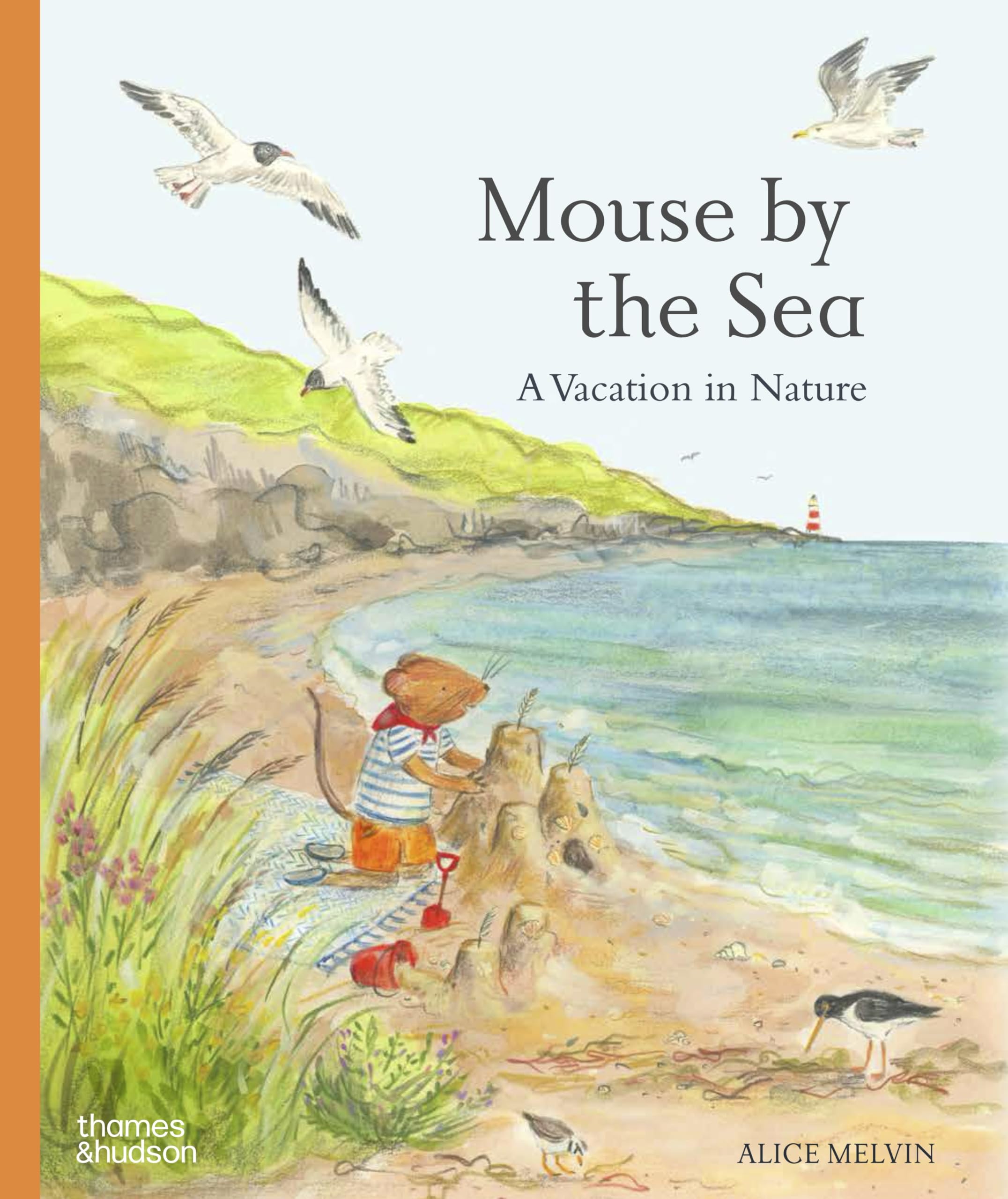 Mouse by the Sea : A Holiday in Nature
