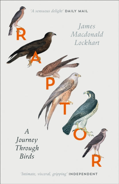 Raptor : A Journey Through Birds by James Macdonald Lockhart 9780007459896