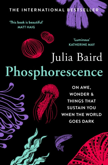 Phosphorescence : On Awe, Wonder & Things That Sustain You When the World Goes Dark by Julia Baird 9780008463663