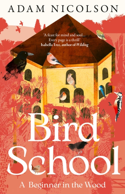 Bird School : A Beginner in the Wood by Adam Nicolson 9780008490874
