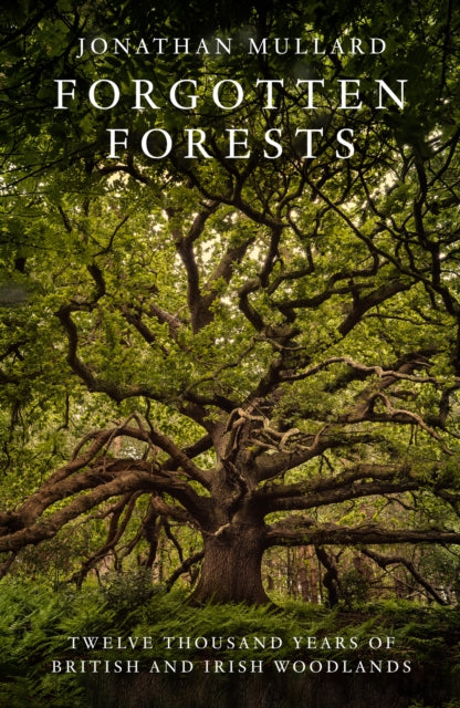 Forgotten Forests : Twelve Thousand Years of British and Irish Woodlands by Jonathan Mullard 9780008561048