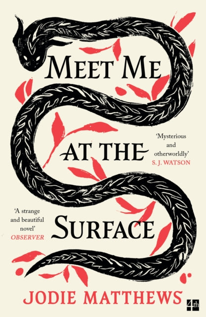 Meet Me at the Surface by Jodie Matthews 9780008585051