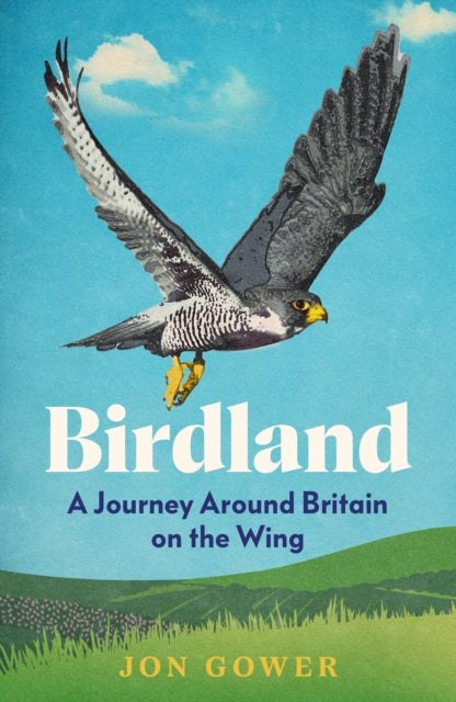 Birdland : A Journey Around Britain on the Wing by Jon Gower 9780008688189