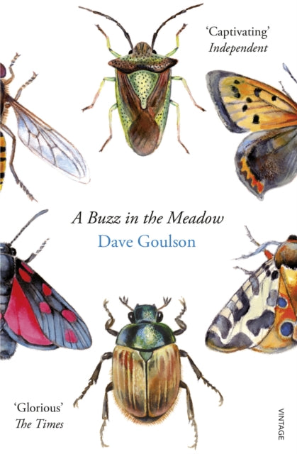 A Buzz in the Meadow by Dave Goulson 9780099597698