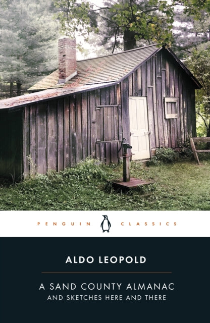 A Sand County Almanac : And Sketches Here and There by Aldo Leopold 9780241402993