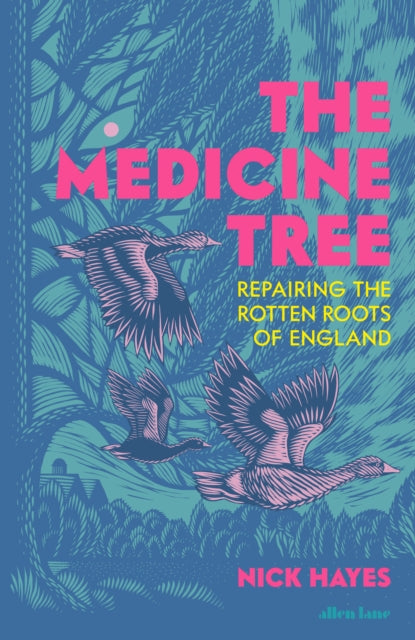 The Medicine Tree : Repairing the Rotten Roots of England by Nick Hayes 9780241731321