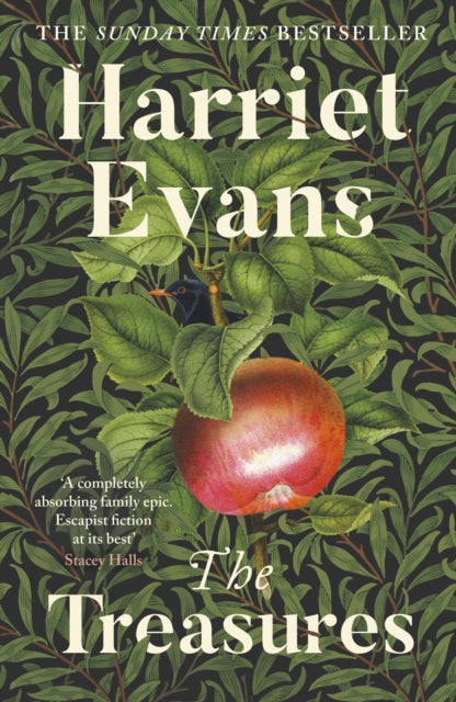 The Treasures : The Sevenstones Trilogy: Book One by Harriet Evans 9780241741375
