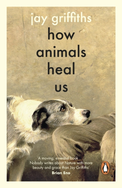 How Animals Heal Us by Jay Griffiths 9780241997918