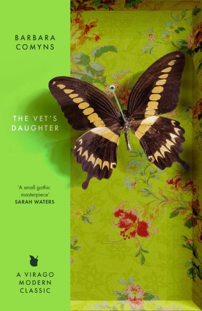 The Vet's Daughter : A Virago Modern Classic by Barbara Comyns 9780349019666