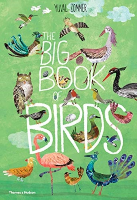 The Big Book of Birds by Yuval Zommer 9780500651513