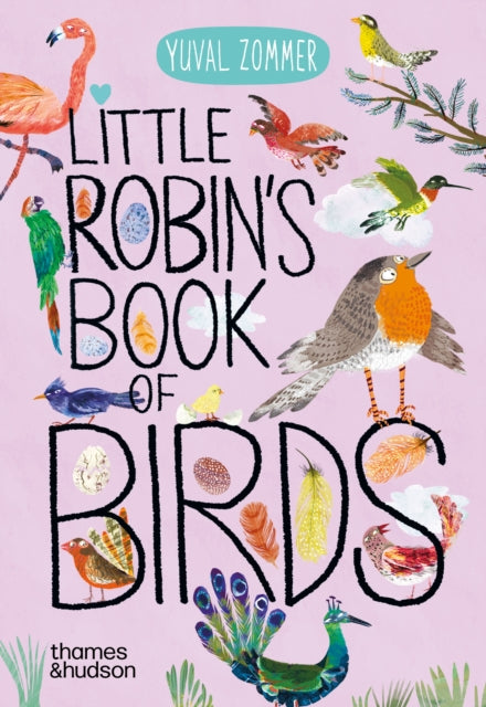 Little Robin's Book of Birds by Yuval Zommer 9780500653739