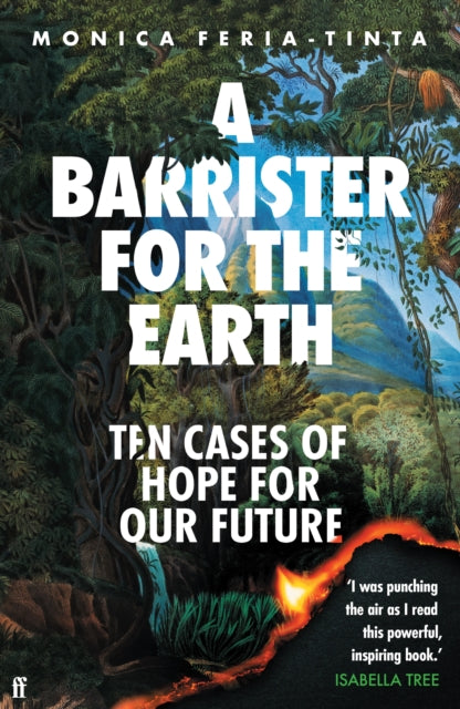 A Barrister for the Earth : Ten Cases of Hope for Our Future by Monica Feria-Tinta 9780571386369