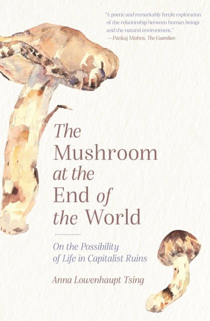 The Mushroom at the End of the World : On the Possibility of Life in Capitalist Ruins by Anna Lowenhaupt Tsing 9780691220550