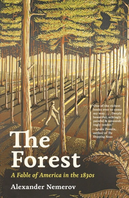 The Forest : A Fable of America in the 1830s by Alexander Nemerov 9780691264523