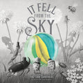 It Fell From The Sky by Eric Fan 9780711270657
