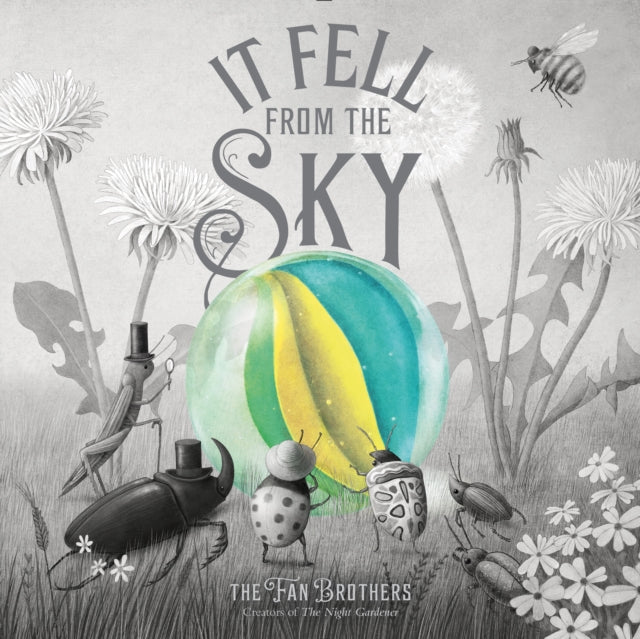 It Fell From The Sky by Eric Fan 9780711270657