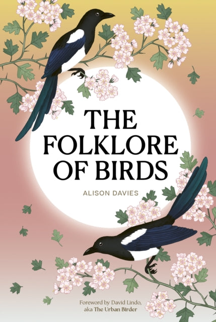 The Folklore of Birds : The forgotten tales behind nature’s most enigmatic creatures by Alison Davies 9780711298460