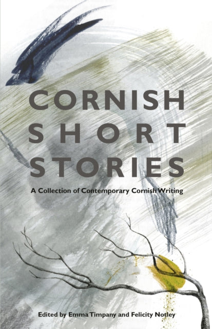Cornish Short Stories : A Collection of Contemporary Cornish Writing by Emma Timpany 9780750983556