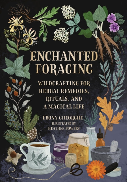 Enchanted Foraging : Wildcrafting for Herbal Remedies, Rituals, and a Magical Life by Ebony Gheorghe 9780762484232