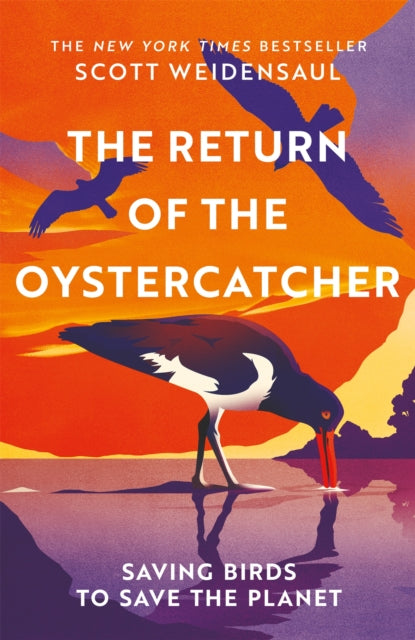The Return of the Oystercatcher : Saving Birds to Save the Planet by Scott Weidensaul 9781035016518
