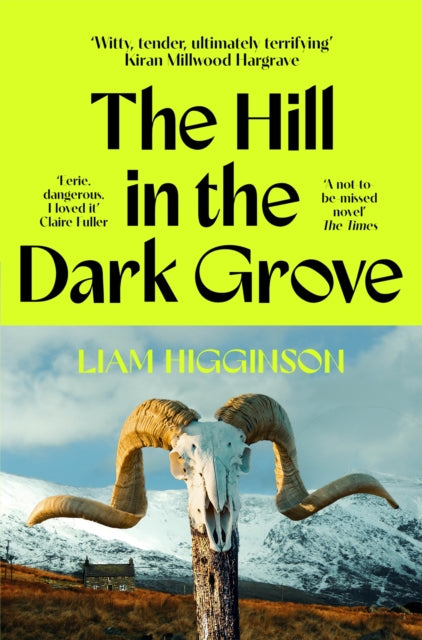 The Hill in the Dark Grove by Liam Higginson 9781035069446