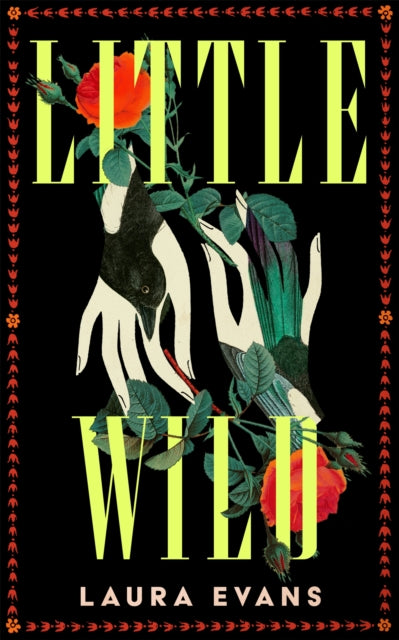Little Wild by Laura Evans 9781035073061