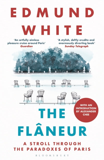 The Flaneur : A Stroll through the Paradoxes of Paris by Edmund White 9781037207891