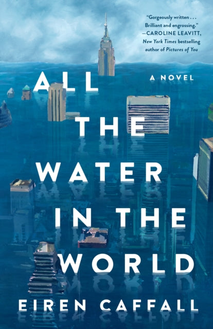 All the Water in the World by Eiren Caffall 9781250353528
