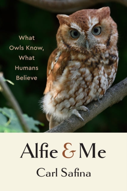 Alfie and Me : What Owls Know, What Humans Believe by Carl Safina 9781324065463