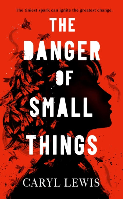 The Danger of Small Things : The YA debut from an award-winning and bestselling Welsh storyteller by Caryl Lewis 9781398549272