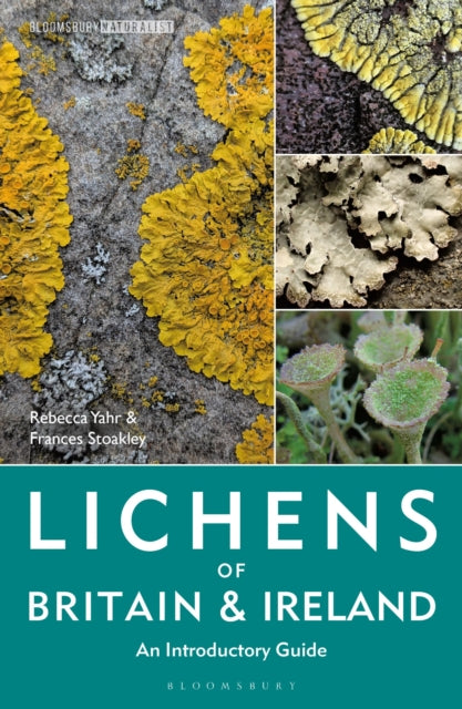 Lichens of Britain and Ireland : An Introductory Guide by Dr Rebecca Yahr 9781399404747