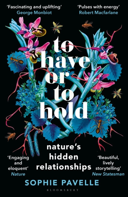 To Have or To Hold : Nature's Hidden Relationships by Sophie Pavelle 9781399412179