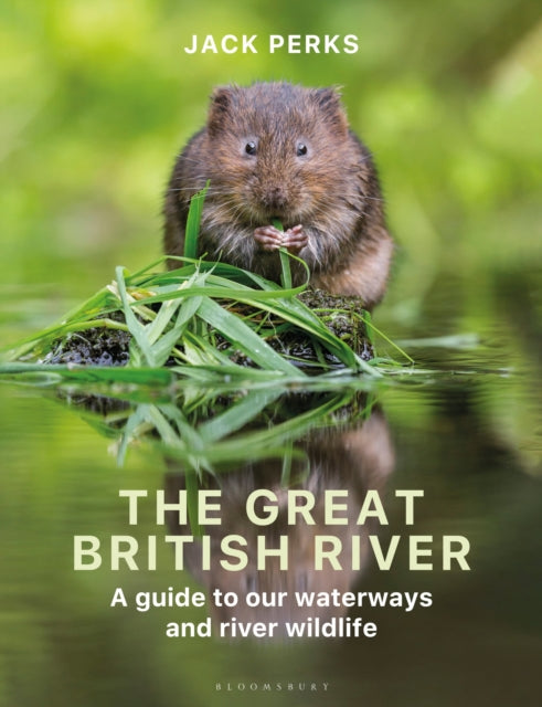The Great British River : A guide to our waterways and river wildlife by Jack Perks 9781399413985
