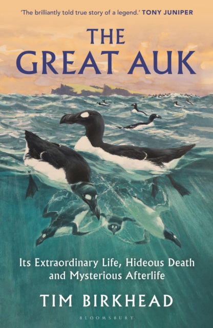 The Great Auk : Its Extraordinary Life, Hideous Death and Mysterious Afterlife by Tim Birkhead 9781399415743