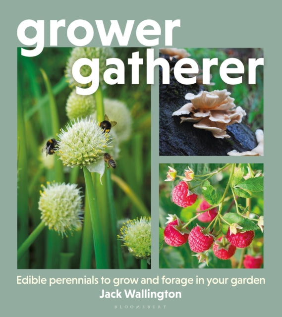 Grower Gatherer : Edible perennials to grow and forage in your garden by Jack Wallington 9781399426855